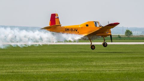 Caslav2019-IMG_9662.jpg
