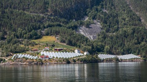 Norsko-Fjord-IMG_4773.jpg