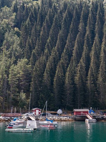 Norsko-Fjord-IMG_4877.jpg